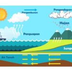 Adanya air dan akar di dalam tanah menyebabkan struktur tanah menjadi